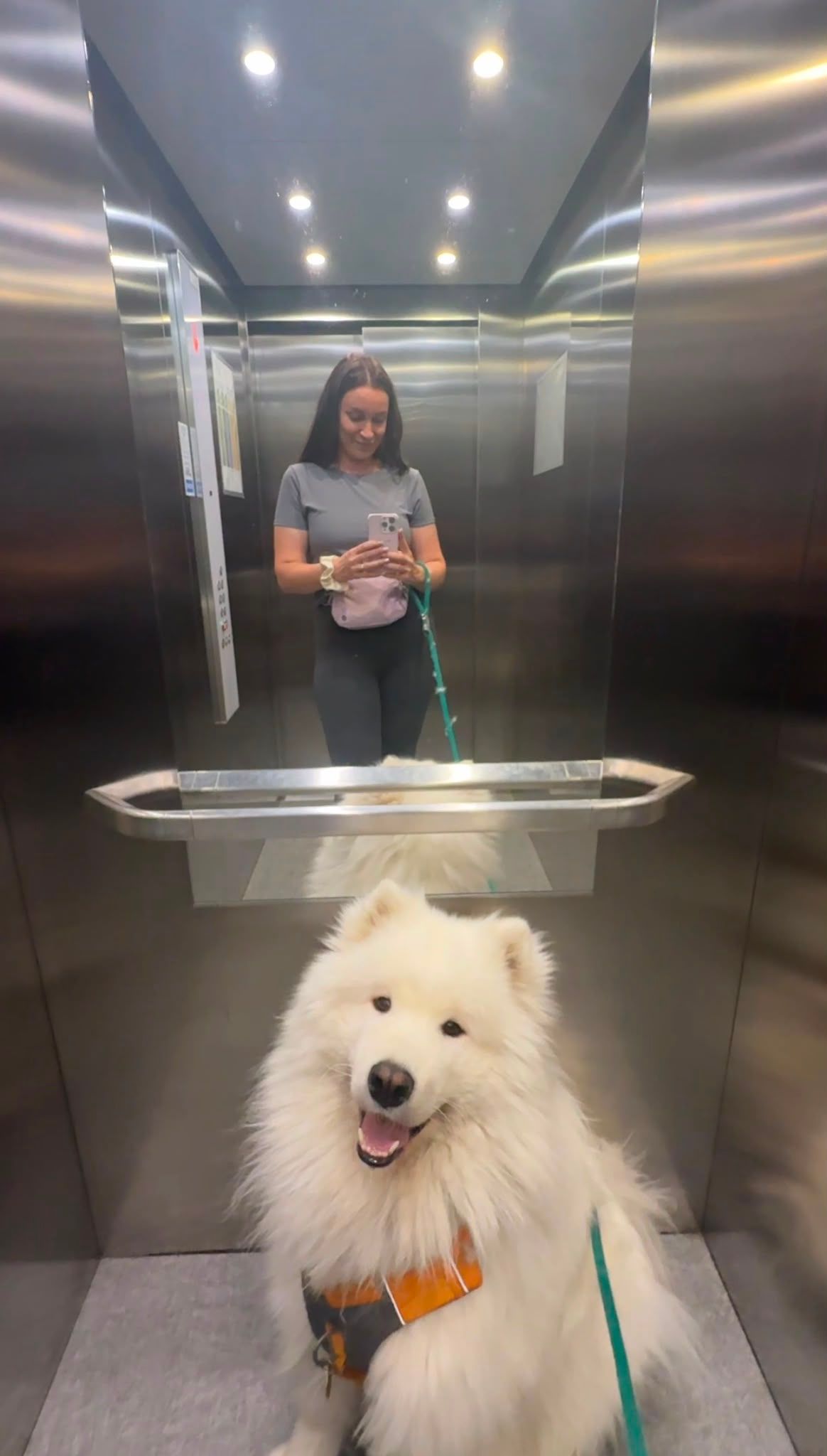 Togo and his human taking a mirror selfie in a lift.